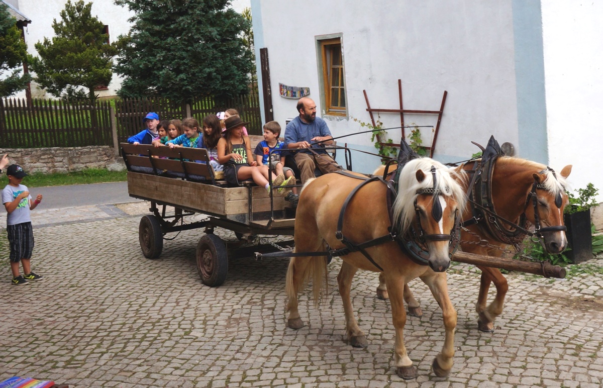 kleiner Kremser fährt auf den Hof
