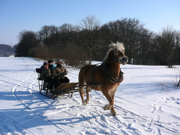 Schlittenfahrt