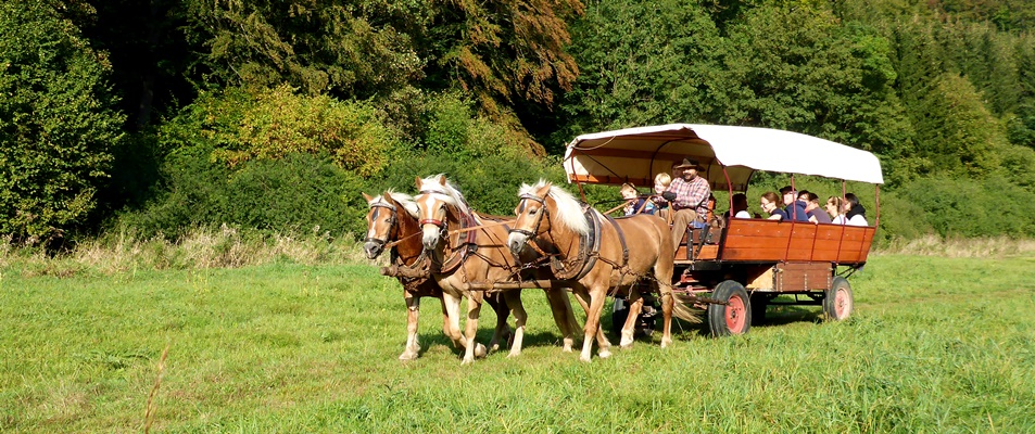 Bild Troika(Panorama)