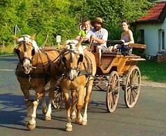 historische Wagonette